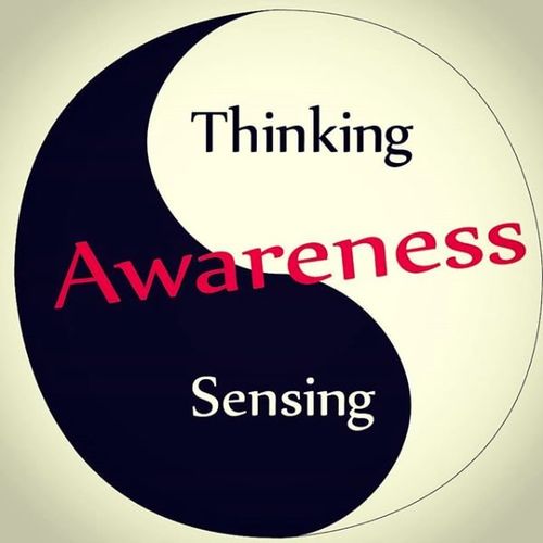 Awareness is clarity and connection to real things