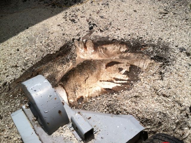 Stump Grinding
