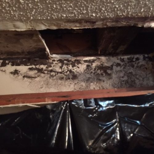 We advised property owner to get plumber to fix le