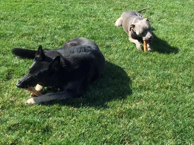 Outdoor fun!