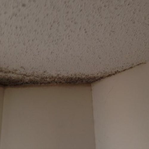 Mold growth due to a roof leak.