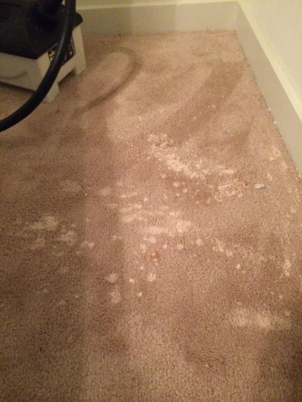 Spilled candle wax on the carpet....