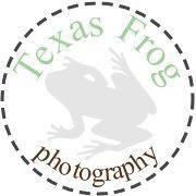 Texas Frog Photography