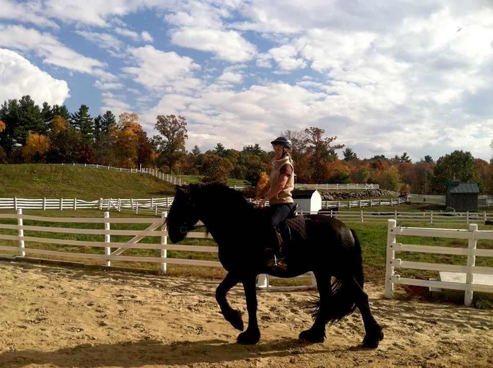 Caribou Farm Equine Services New Ipswich, NH Thumbtack