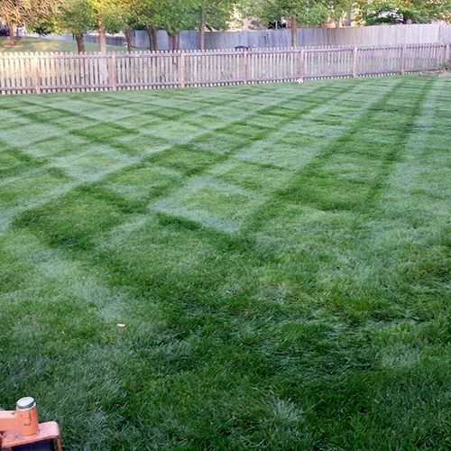 Pretty Stripes of your lawn
