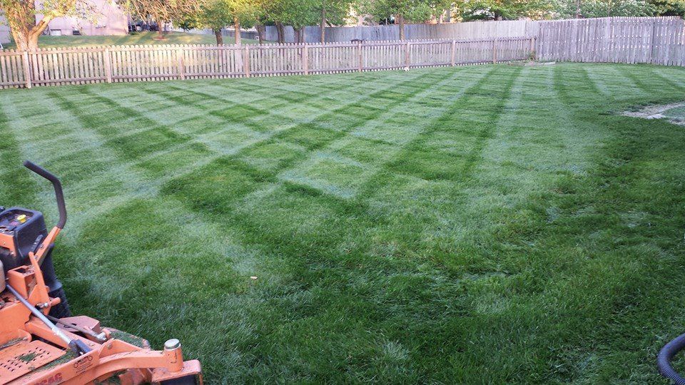 Pretty Stripes of your lawn