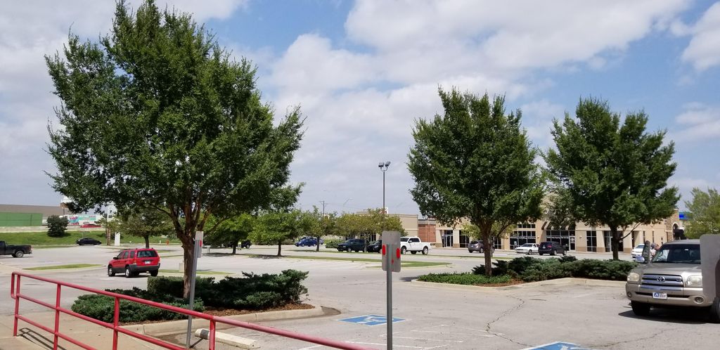 trimming at commercial property.