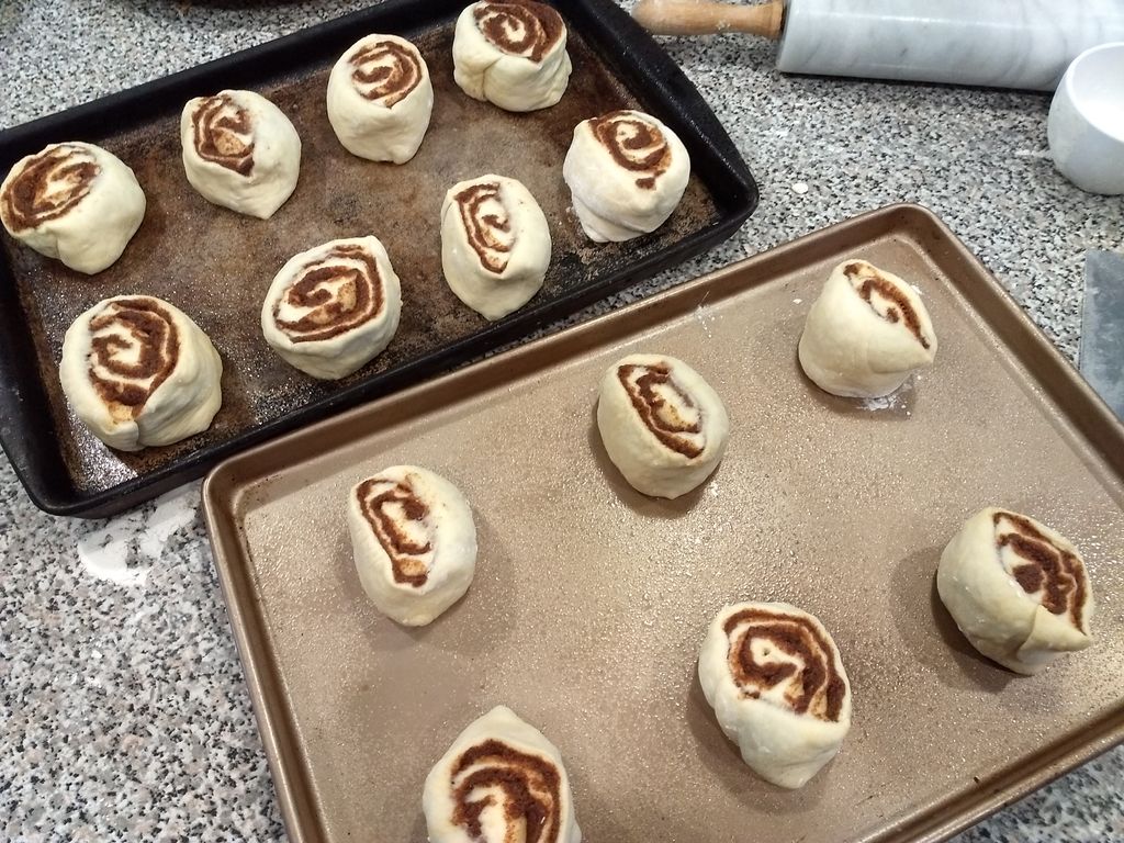 Cinnamon rolls ready for the oven