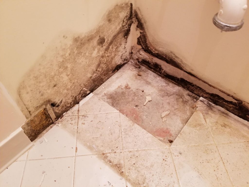 Mold Job...Before