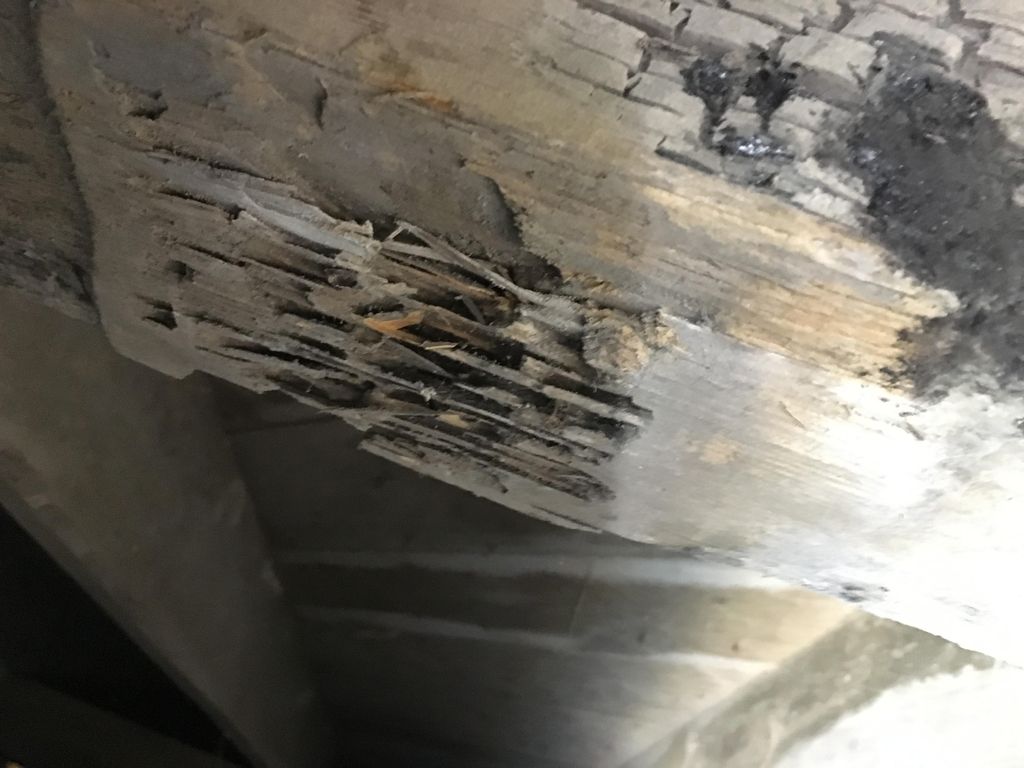 We provide at visual termite inspection with every