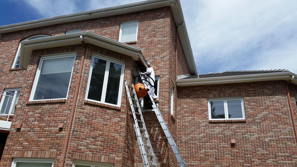 Bee and Wasp Removal