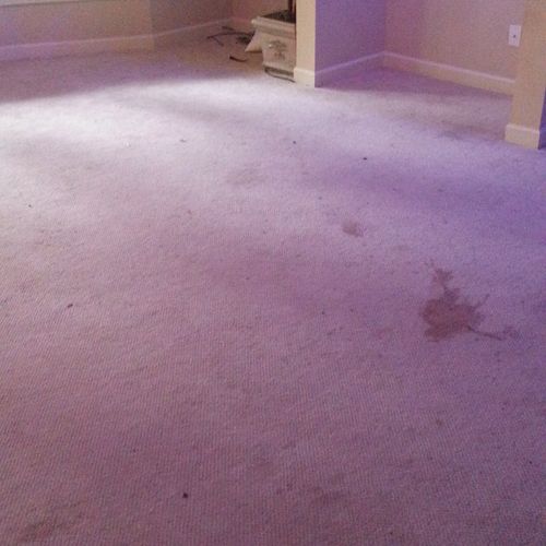 Tough stain in carpet