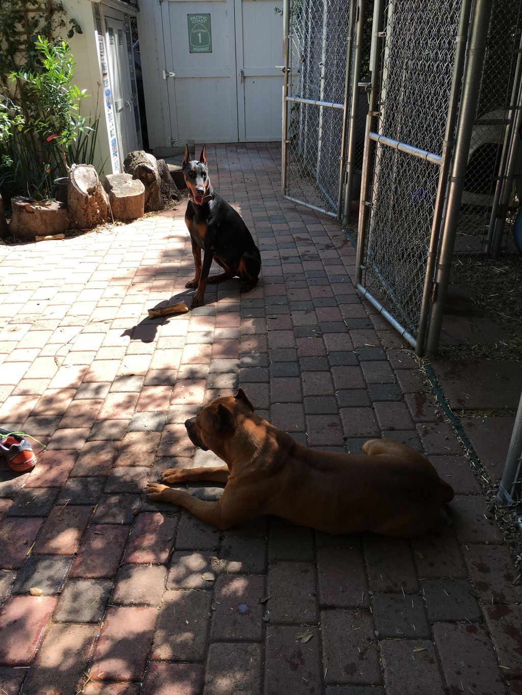 ~Socialization plays an important part of my train