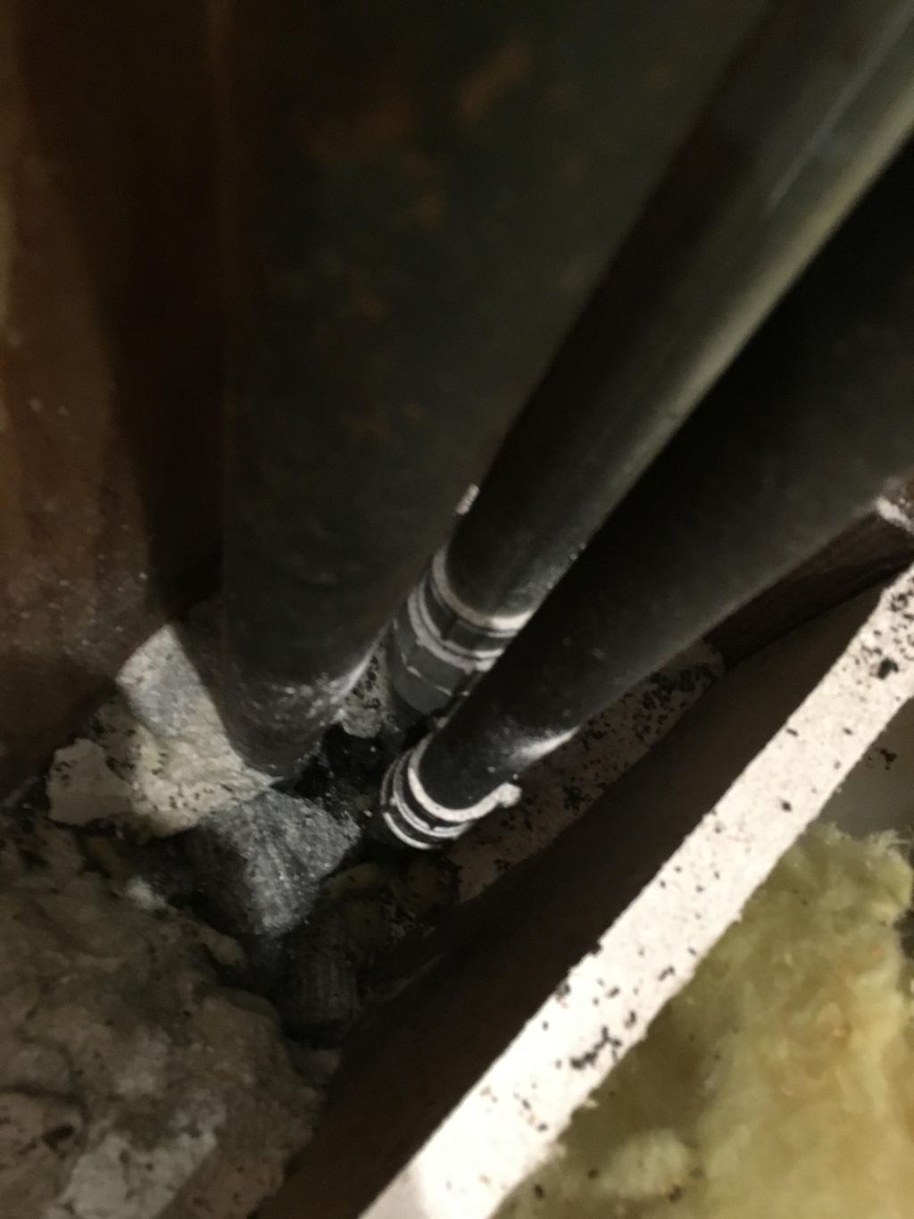 Rat damage inside the walls