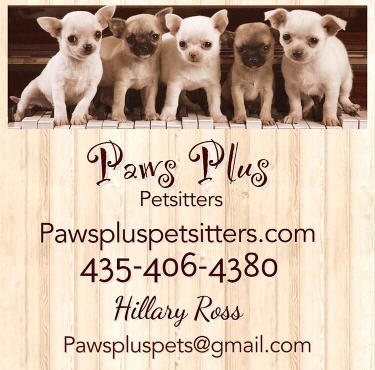 Paws Plus Pet Sitters