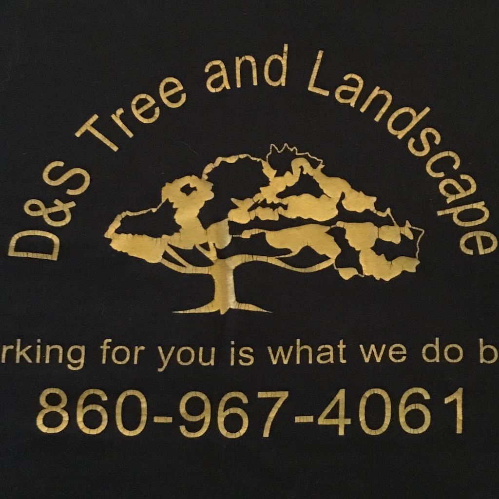 D&S Tree and Landscape