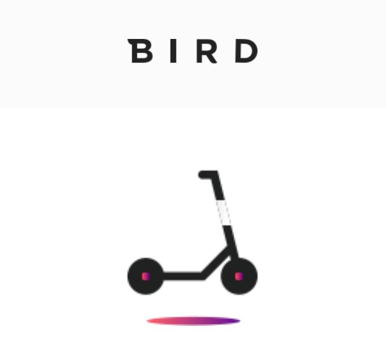 Campus mobility - Bird