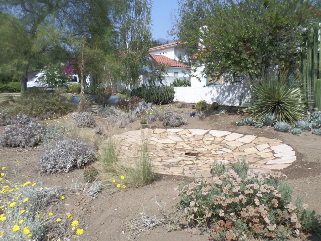 Landscape & Hardscape