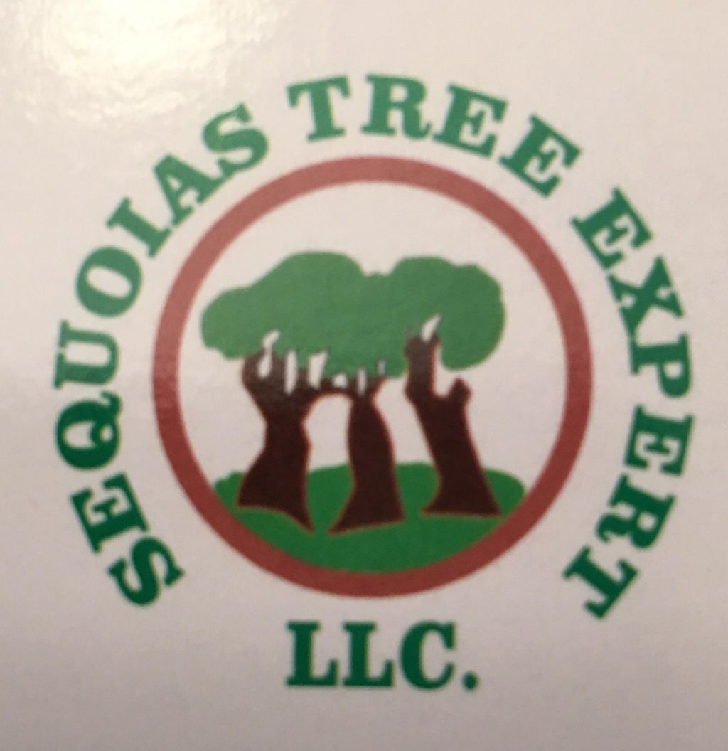 Sequoias Tree Expert LLC