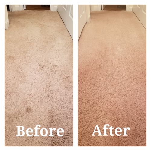 Carpet Cleaning - Deep Cleaning Extraction Method