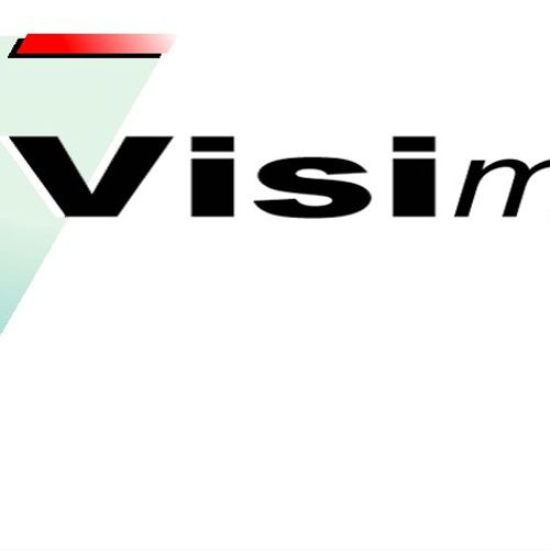 We have helped Visimation with their business plan