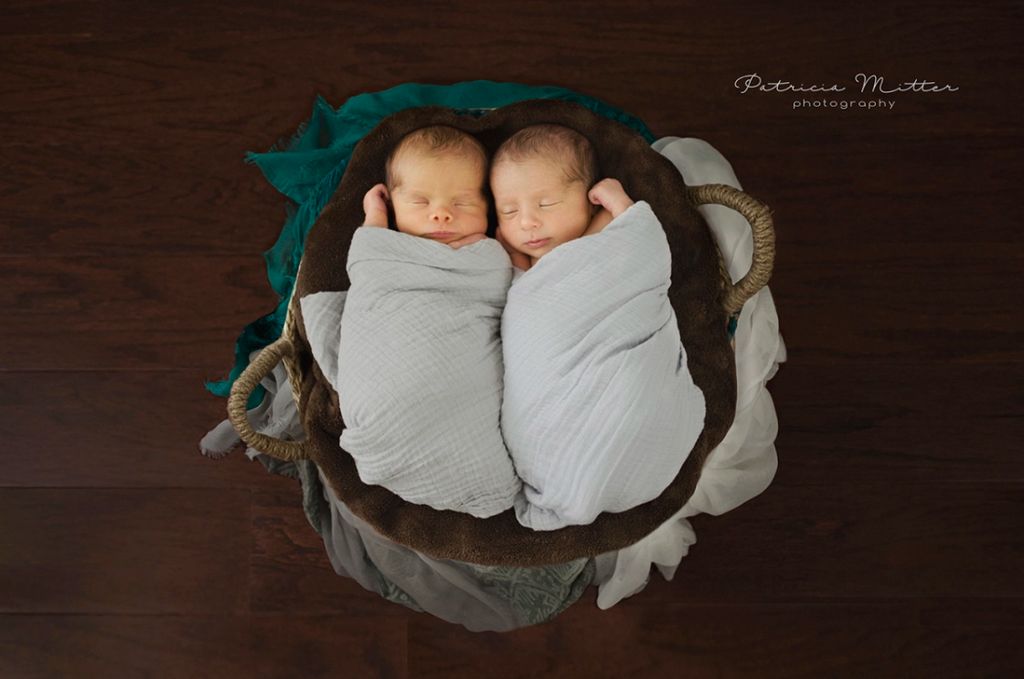 Newborn Portrait