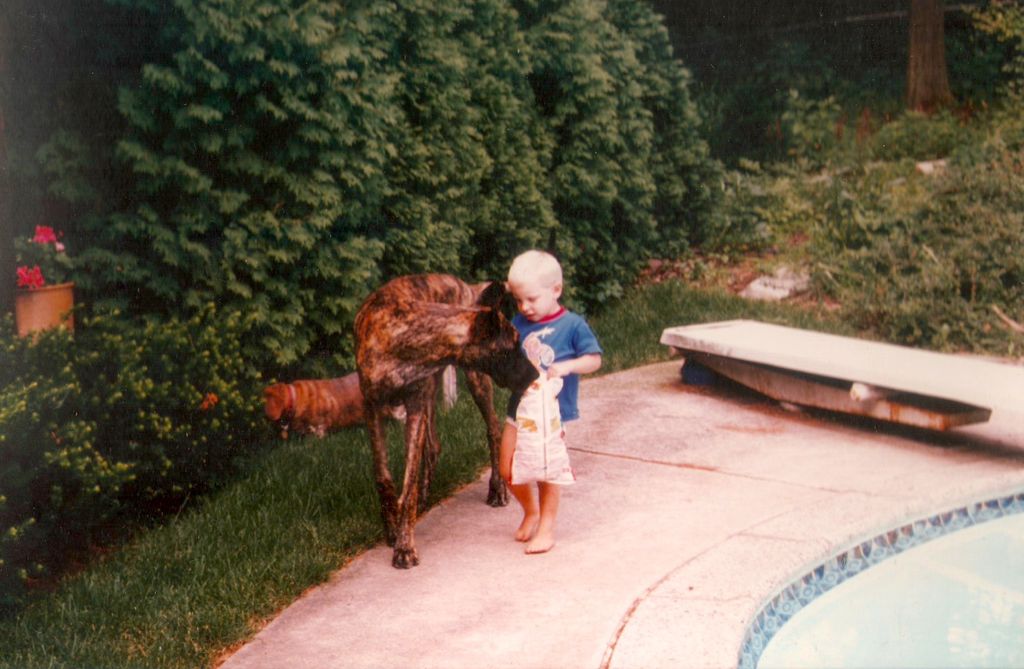 Sir Lancelot the great dane and I (ca. 1987)