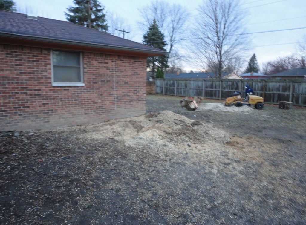 We also do stump grinding (back ground)