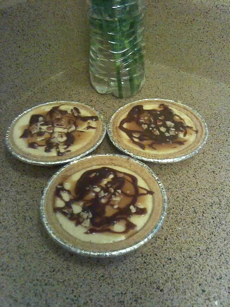 Mini S'more's Cheesecakes