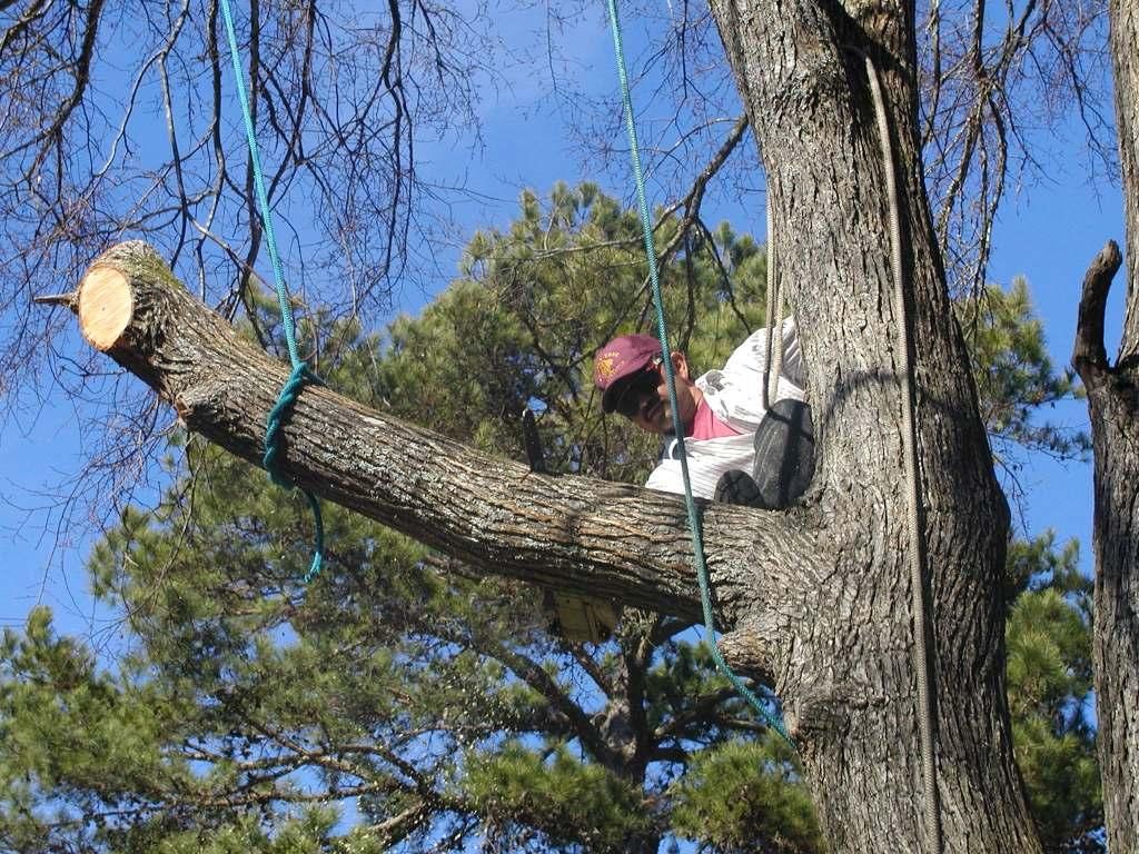 We train extensively on rope safety.