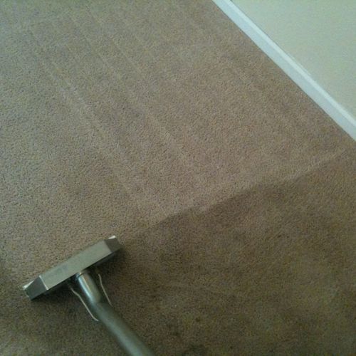 Carpet Cleaning Chattanooga