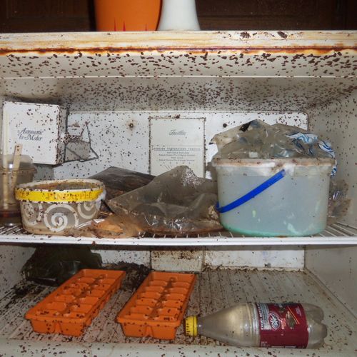 interior cleaning fridge before