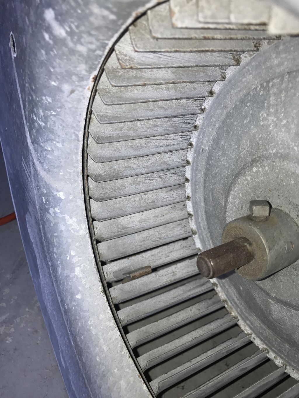 After cleaning molded blower