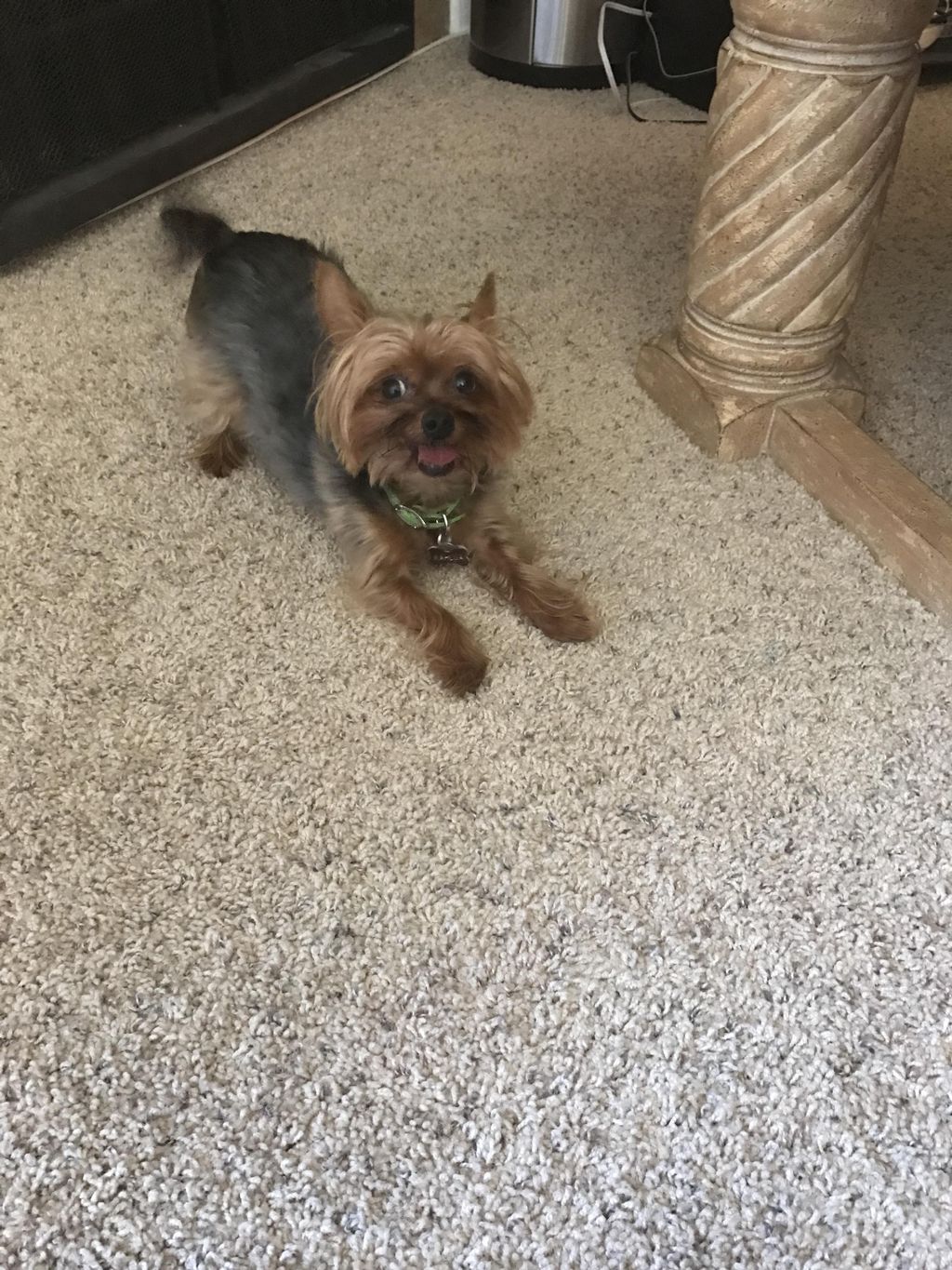 Let's Play! 