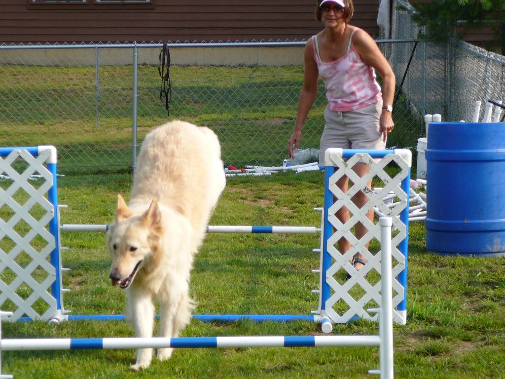 Enrichment activities