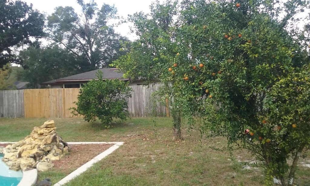 Paradise Lawn and Garden of Orlando recently worke