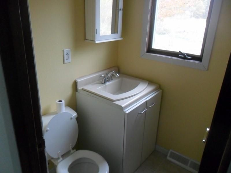 down stairs 1/2 bath paint/flooring/fixtures