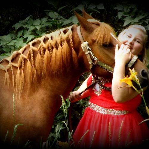 My Horse and I