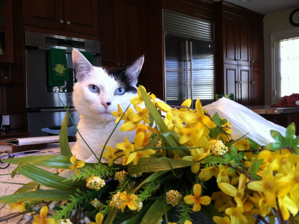 Addy, client since 2010