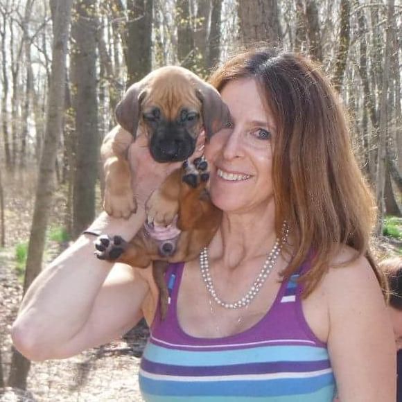 Canine Behaviorist, New Jersey's Dog Whisperer,...