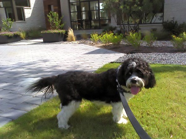 Sailor's all smiles.