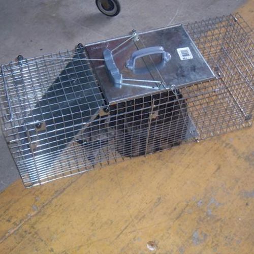 Animal Trapping Services