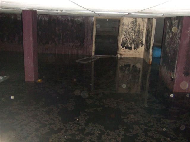 Does your basement get this wet? Probably not but 