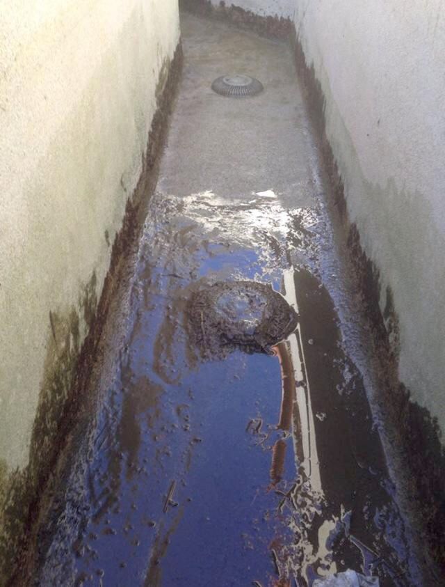 POOL 1
BEFORE BOTTOM OF TROUGH AFTER WATER DRAIN