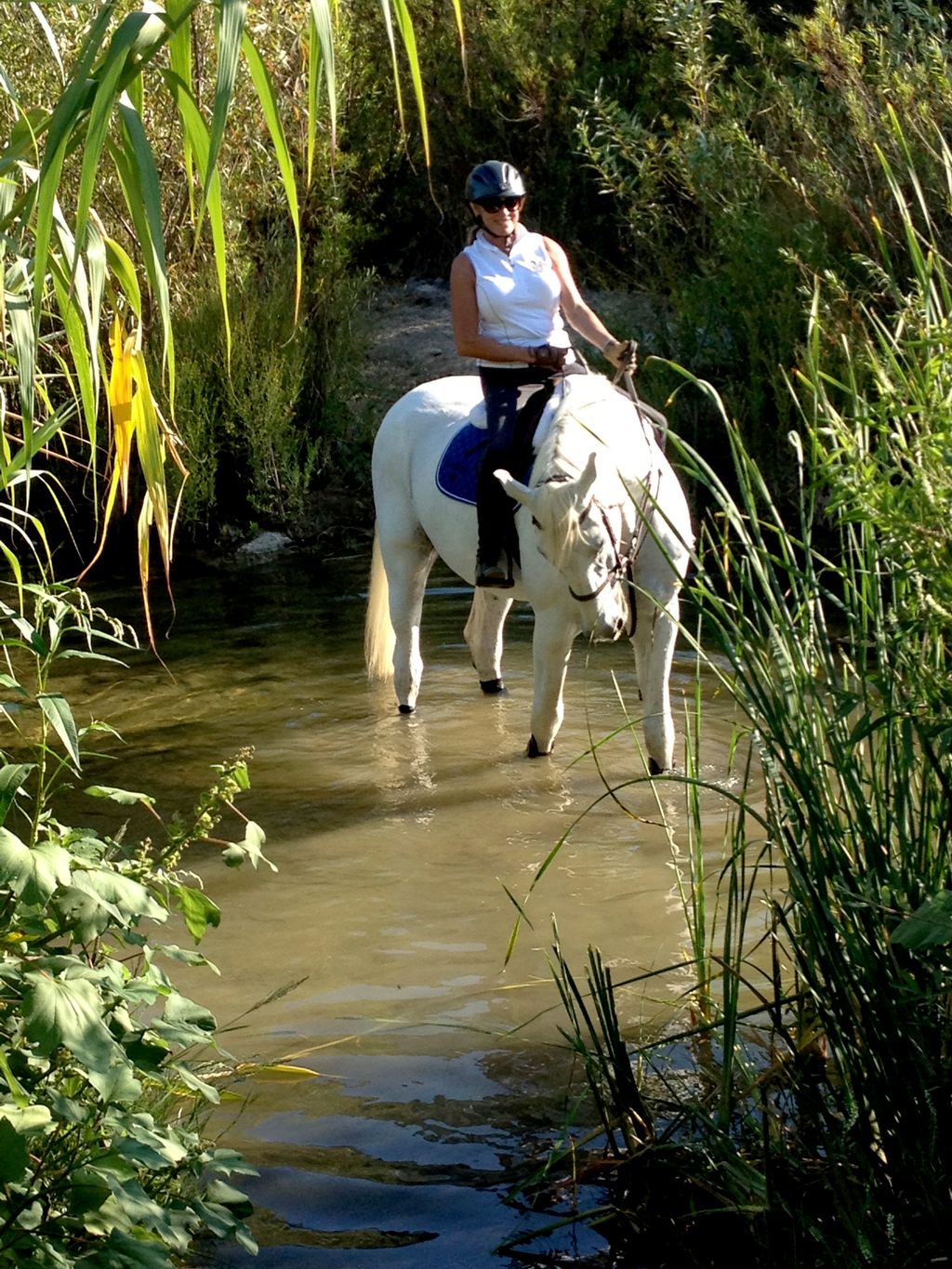 Adult Riders