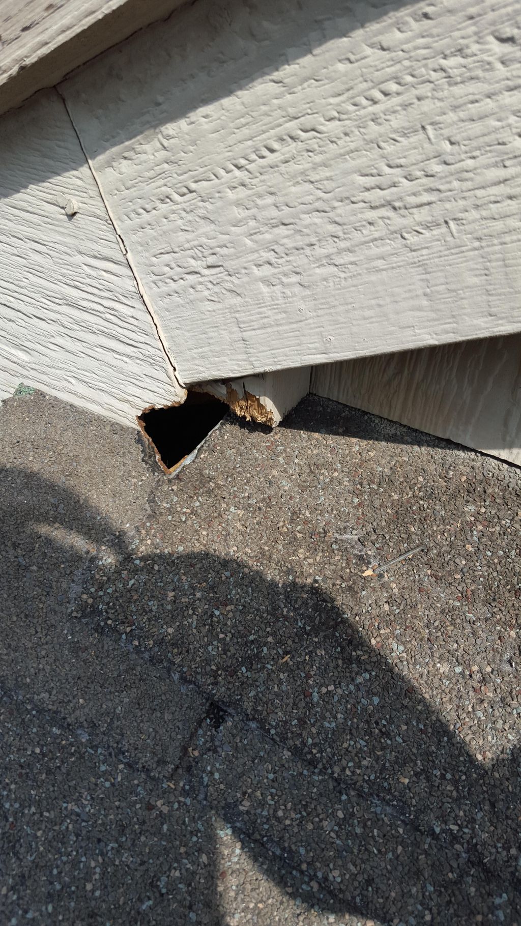Odd roof return, Roof rat entry hole