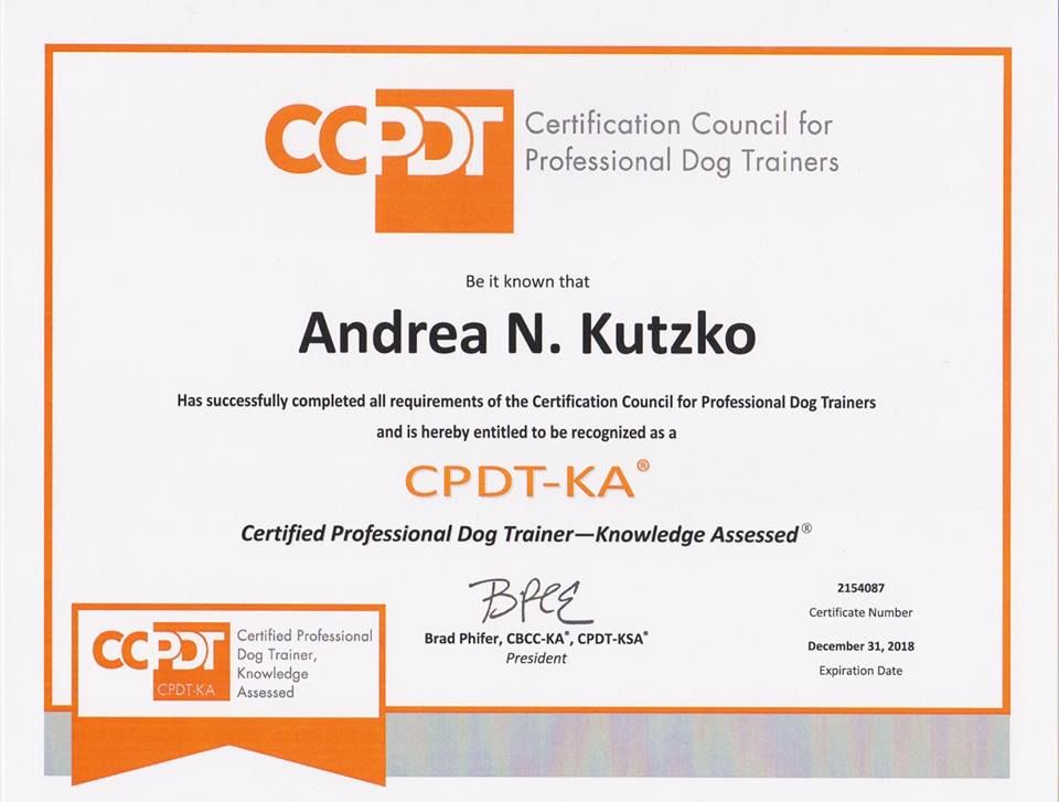 I am one of 3 Certified Professional Dog Trainers 