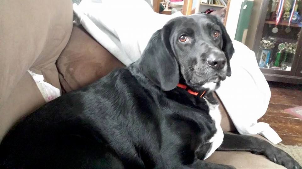 Jack- all clean and shiny