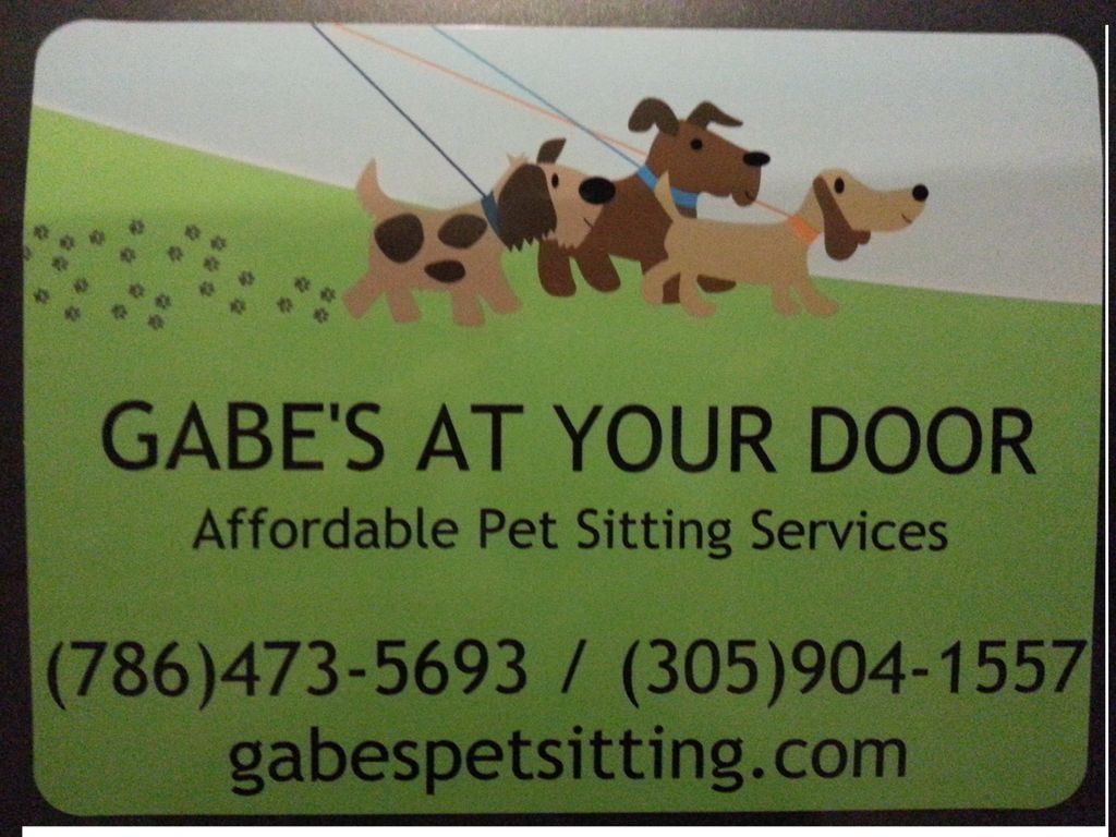 Pet Sitting at it's best!