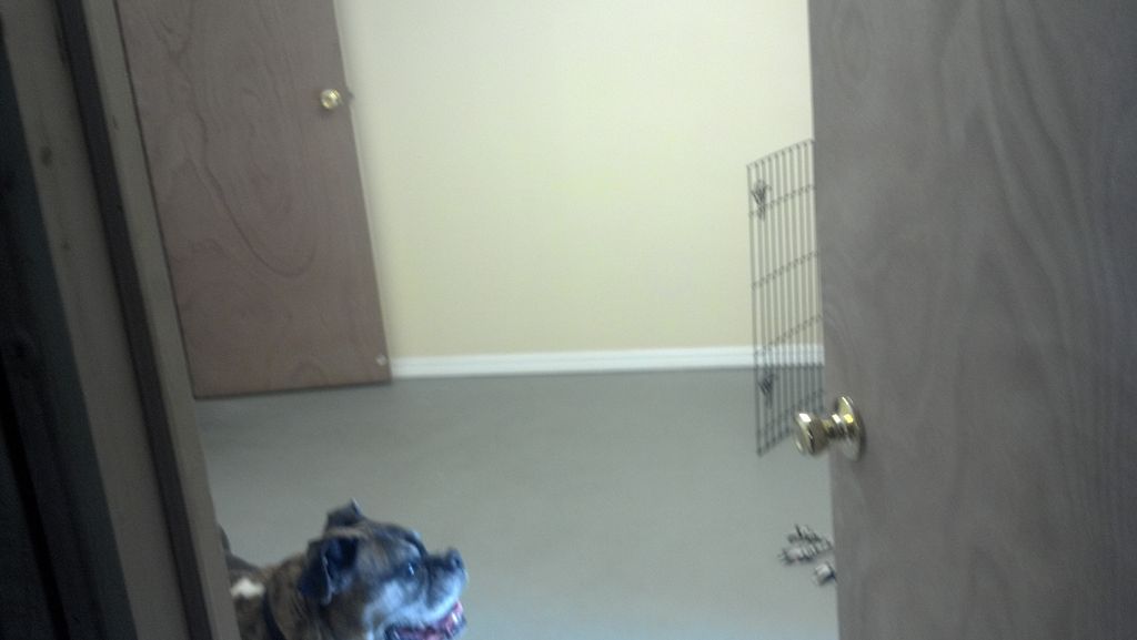 Buster one over night in new room..